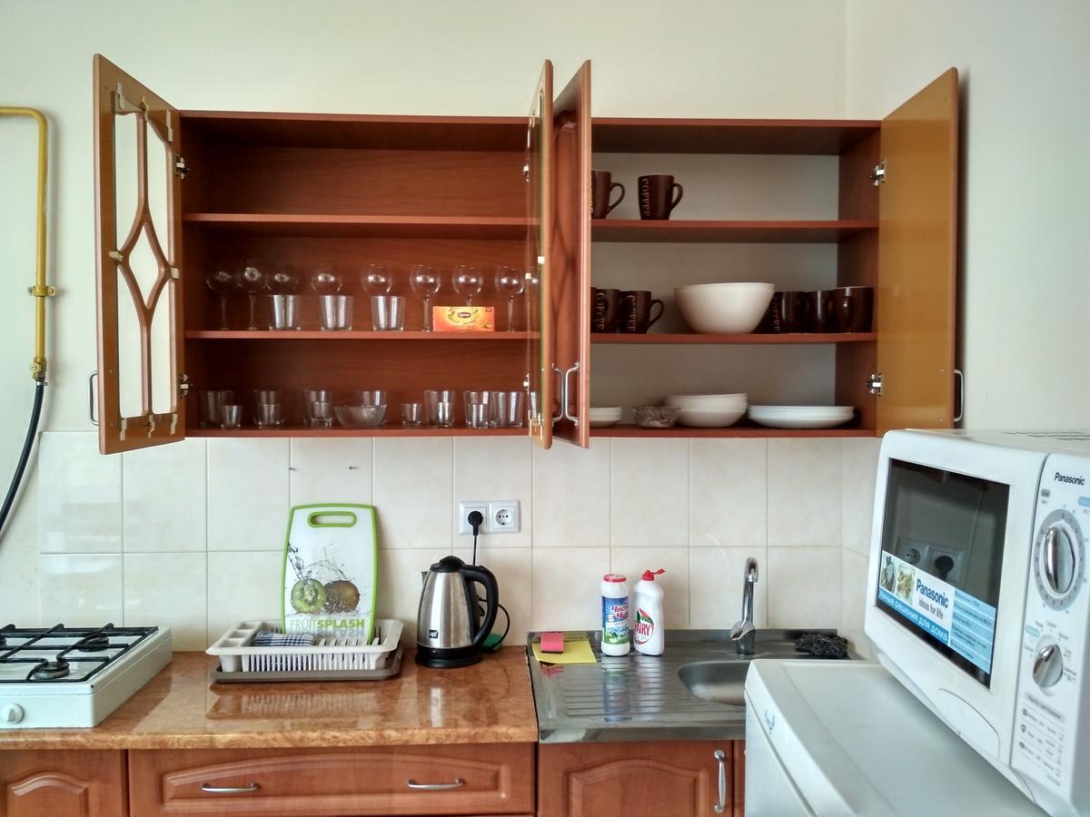 Apartments "Domovik" Івана Парканія 2А Кв 19 ムカチェヴォ エクステリア 写真